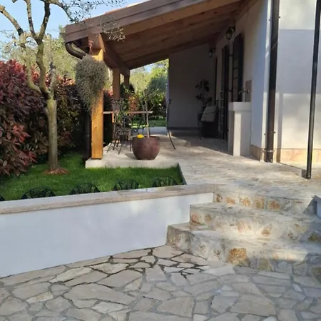 Damiani