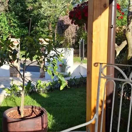 Apartament Damiani *
