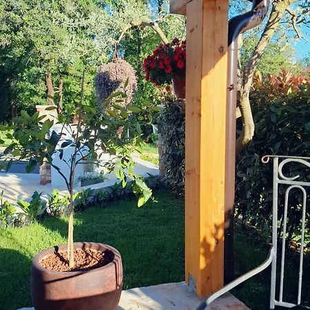 Damiani Апартаменты Умаг