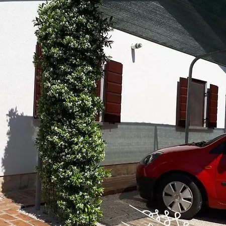 Damiani Apartament