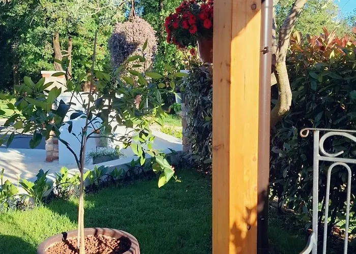 Damiani شقة أوماغ