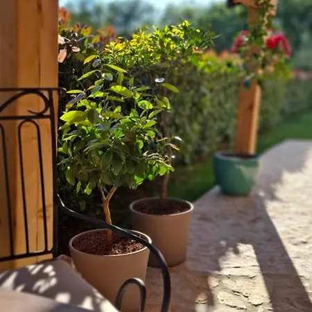 Damiani Διαμέρισμα