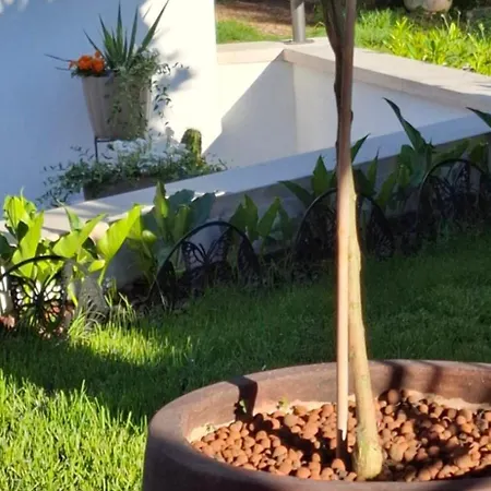 Damiani Διαμέρισμα *